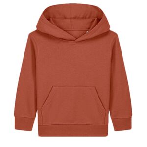 Kids Mini Cruiser 2.0 iconic hoodie sweatshirt (STSK180) Thumbnail